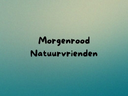 Nivon Morgenrood